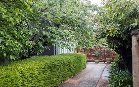 Silk Tree Studio - Steps To Cook Park